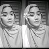 dinnias_