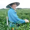phamthuy0123