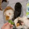 meddling_pigs