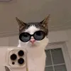 sidsuysup