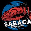 fahmi_sabaca