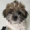 raincrazy9