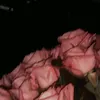 dinara_do1