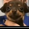 user3t9wwqq47k