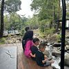 rew_84