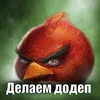 skfizerti