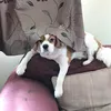 sqealyneily