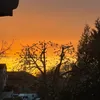 ls.sanelli1