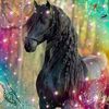 alihamed931