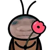 camngotlim12