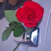 user3903743820752