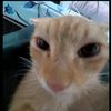 _userr4576334
