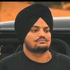 ahmer6560