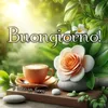 annacascone22