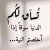 hanoon667
