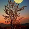 treasures220