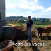 user3584856489434