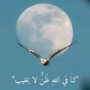 mahmoudahme0605