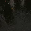 lisl_kletzi