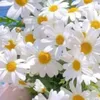 roz.mudhafar