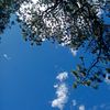 jorge_delgg