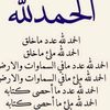user419151095