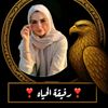 roberobe1234