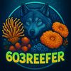 603reefer