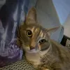 gablel69