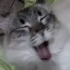 clouddark5