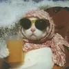 potato_cheeps