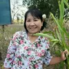 pimontra0