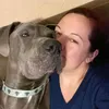 great_dane_mumma