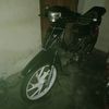 shogunsepet