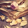bia_usama