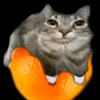 dutch_smp69