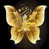 user8825126179679
