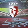 lillois_5962