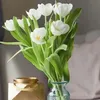 iitw2