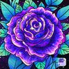 mahammed12yahooco