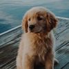 softie.elenaa