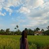 elissiputri