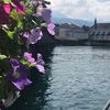 zeez_89