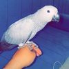 mh_g76