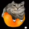 telquinxd