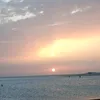 poncelazo3