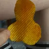 pivo_master02