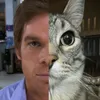 dxjdx