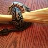 angelini_snake_noodles