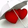 shalekahmed4